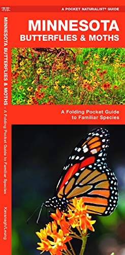 Minnesota Butterflies & Moths: A Folding Pocket Guide to Familiar Species cover