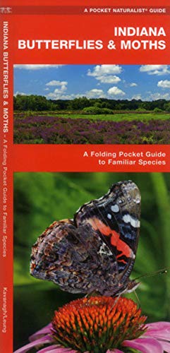 Indiana Butterflies & Moths book cover