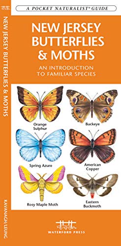 New Jersey Butterflies & Moths book cover