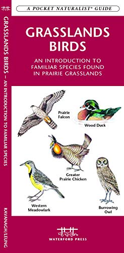 Grasslands Birds book cover