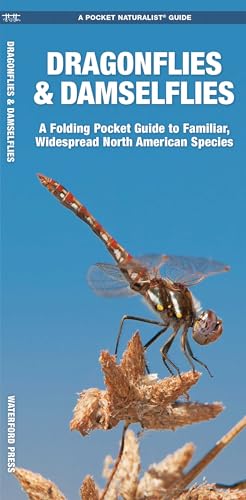 Dragonflies & Damselflies cover