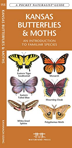 Kansas Butterflies & Moths book cover