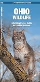 Ohio Wildlife A Folding Pocket Guide To Familiar Animals Wildlife And Nature Identification