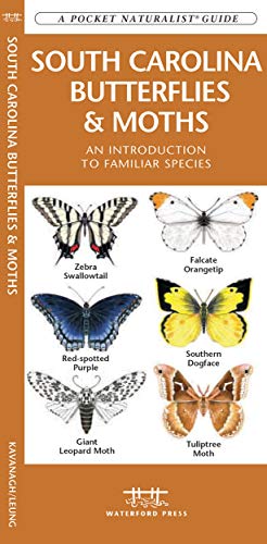 South Carolina Butterflies & Moths cover