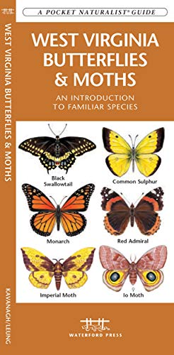 West Virginia Butterflies & Moths book cover