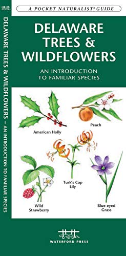 Delaware Trees & Wildflowers book cover