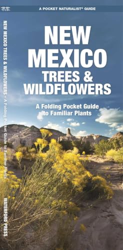 New Mexico Trees & Wildflowers book cover