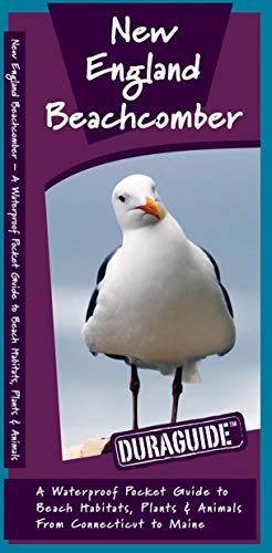 New England Beachcomber: A Waterproof Pocket Guide to Beach Habitats, Plants & Animals from Connecticut to Maine cover