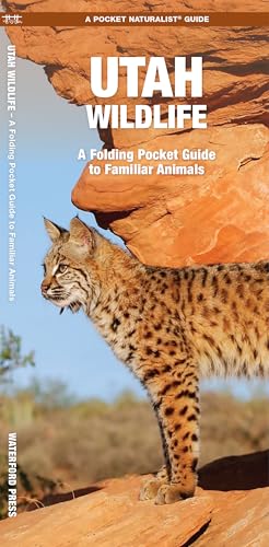 Utah Wildlife book cover