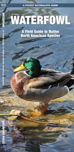 Waterfowl book cover