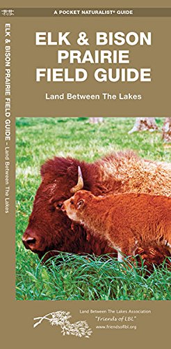 Elk & Bison Prairie Field Guide book cover