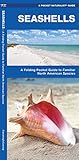 Seashells A Folding Pocket Guide To Familiar North American Species A Pocket Naturalist Guide