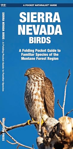 Sierra Nevada Birds book cover