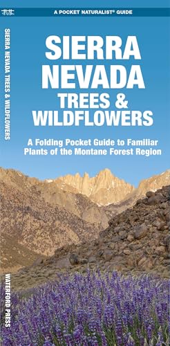 Sierra Nevada Trees & Wildflowers of the Montane Forest Region book cover