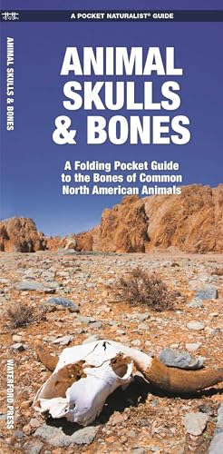 Animal Skulls & Bones Laminated book cover