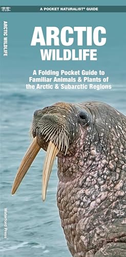 Arctic Wildlife & Plants of the Arctic and Subarctic Regions book cover