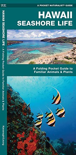 Hawaii Seashore Life book cover