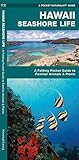 Hawaii Seashore Life A Folding Pocket Guide To Familiar Plants And Animals Wildlife And Nature Identification