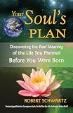 Your Souls Plan Discovering The Real Meaning Of The Life You Planned Before You Were Born