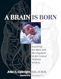 A Brain Is Born Exploring The Birth And Development Of The Central Nervous System