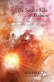 The Secret Life Of Babies How Our Prebirth And Birth Experiences Shape Our World