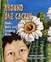 Around One Cactus: Owls, Bats and Leaping Rats