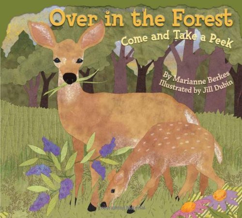 Cover of Over in the forest