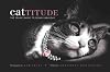Cattitude: A Feline Guide to Being Fabulous