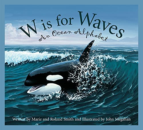 W is for Waves book cover