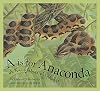 A is for Anaconda: A Rainforest Alphabet