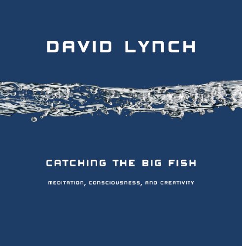 Catching the Big Fish: Meditation, Consciousness, and Creativity book cover