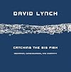 Catching the Big Fish: Meditation, Consciousness, and Creativity