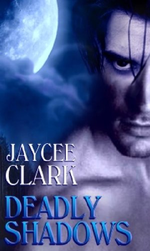 Deadly Shadows book cover