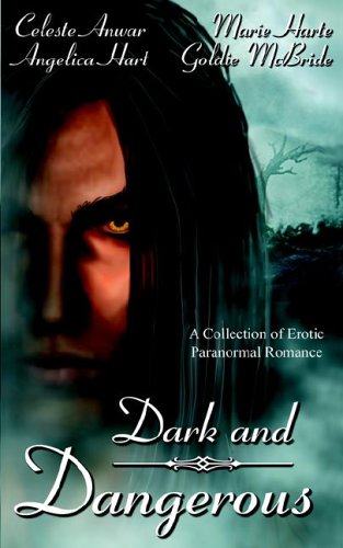 Dark And Dangerous book cover