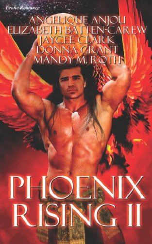 Phoenix Rising II book cover