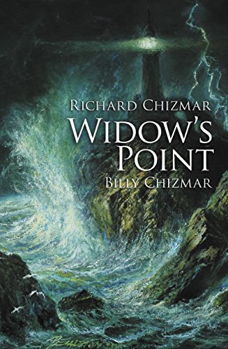 Widow's Point book cover