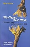 Why Teams Don't Work: What Went Wrong and How to Make It Right