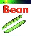 Life Cycle of a Bean (Heinemann First Library: Life Cycles)