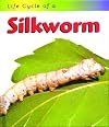 Silkworm (Life Cycle of a . . .)