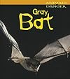 Gray Bat (Heinemann First Library: Animals in Danger)