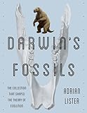 Darwins Fossils The Collection That Shaped The Theory Of Evolution