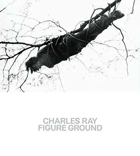 Figure Ground book cover