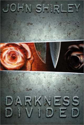 Darkness Divided book cover