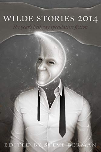 Wilde Stories 2014 book cover