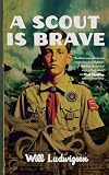 A Scout is Brave