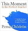 This Moment Is the Perfect Teacher: Ten Buddhist Teachings on Cultivating Inner Strength and Compassion
