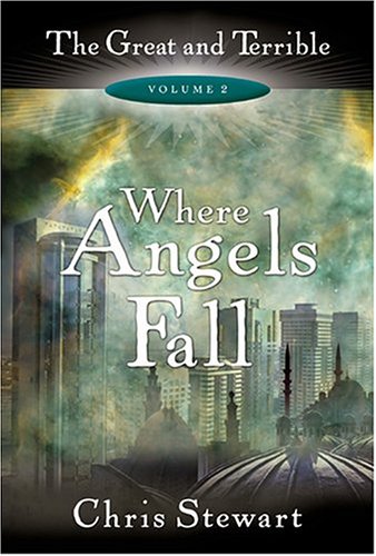 Where Angels Fall book cover