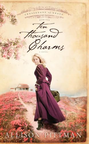 Ten Thousand Charms book cover