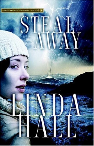 Steal Away book cover