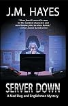 Server Down